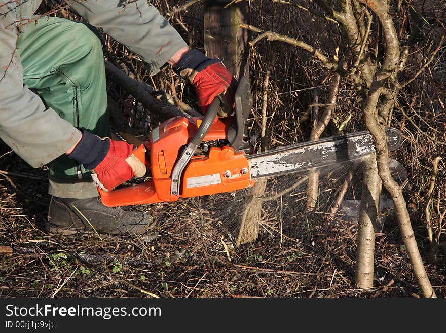 Chain Saw At Work