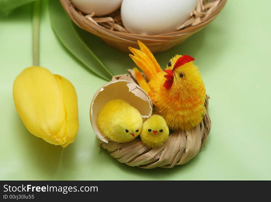 Easter motive.Hen and her chicks,yellow tulip,easter eggs on green background.