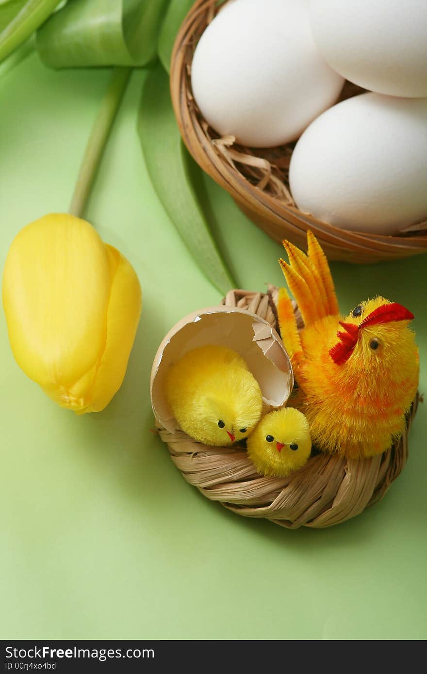 Easter motive.Hen and her chicks,yellow tulip,easter eggs on green background.