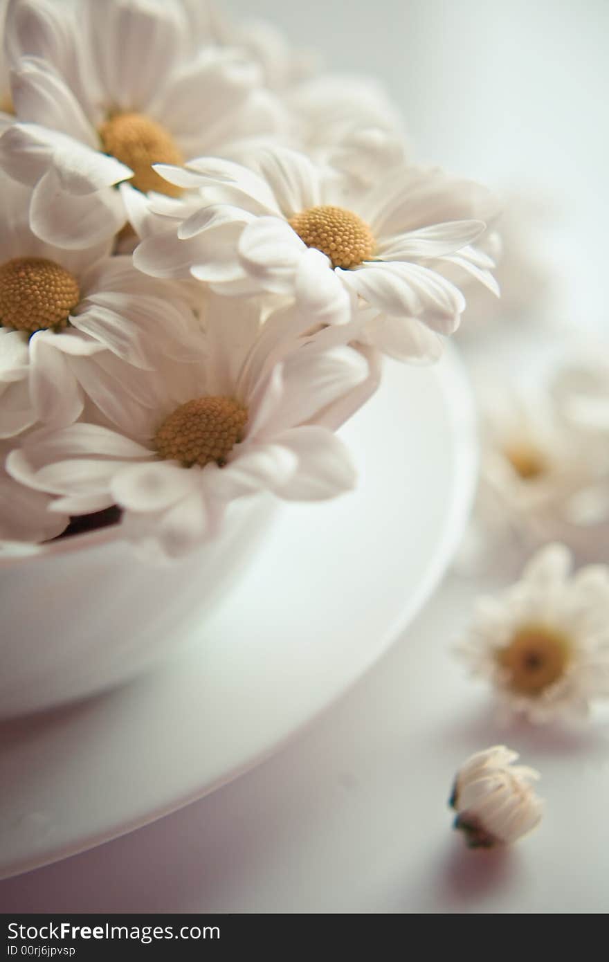 Sparse flowers on white plate and table. Sparse flowers on white plate and table