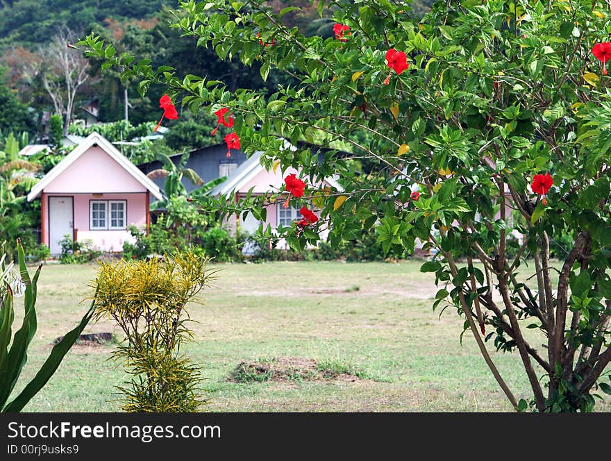 Houses