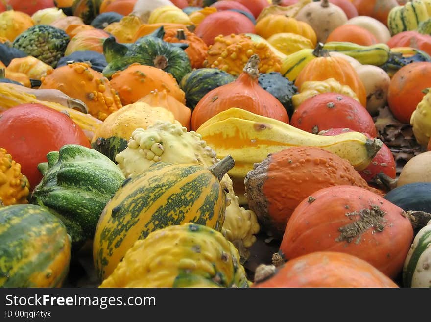 Lots of small pumpkins on a farm in Germany.