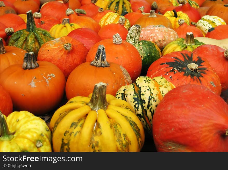 Lots of Pumpkins on a farm in Germany.