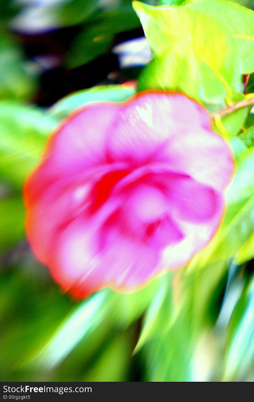 An blurred exotic flower shot outdoors.