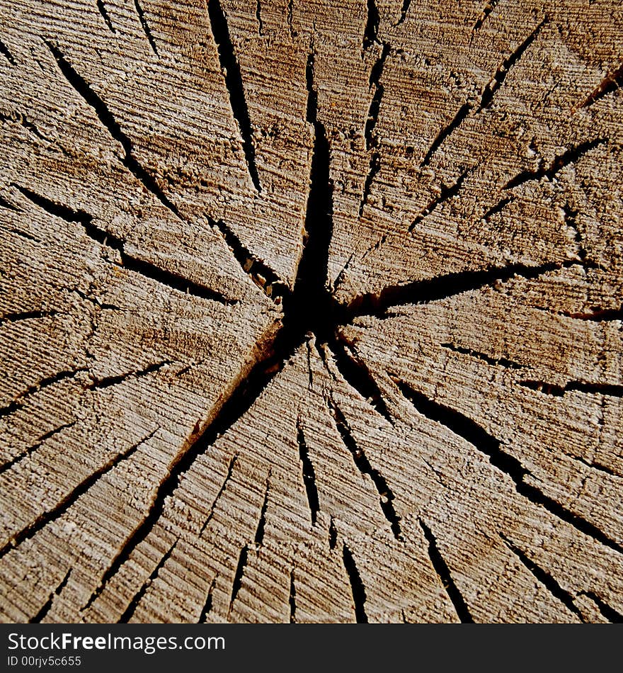 Cut of tree as a star