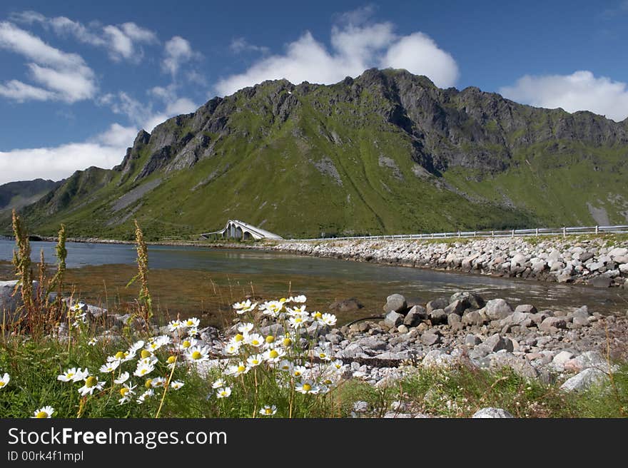 The Norwegian landscape