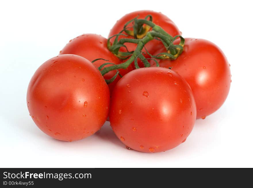 Tomato with the green branch,. Tomato with the green branch,