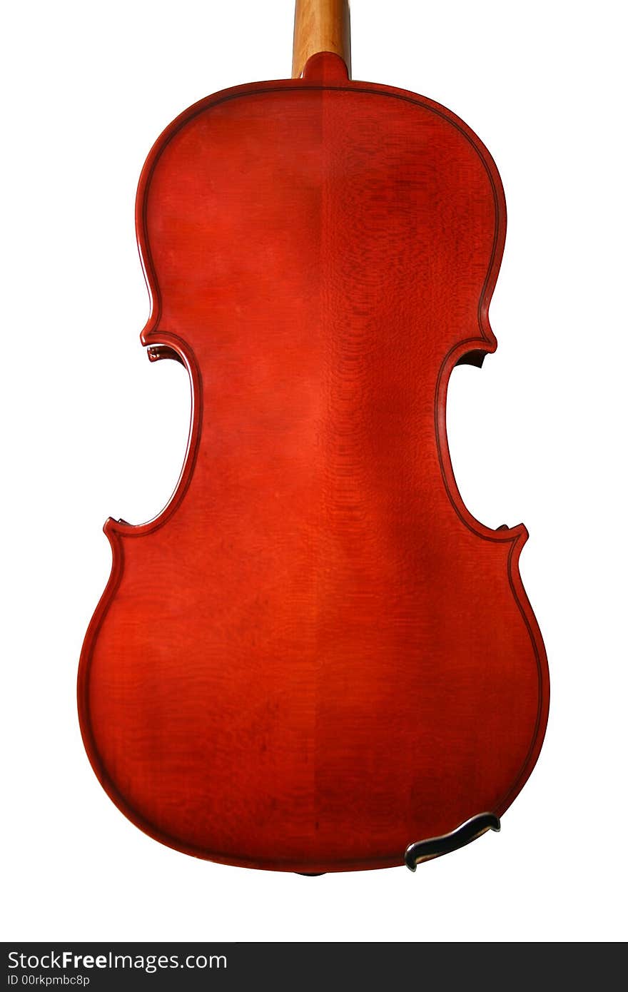 Violin isolated on a white background.