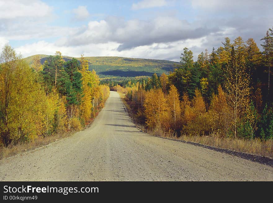 The road in the taiga