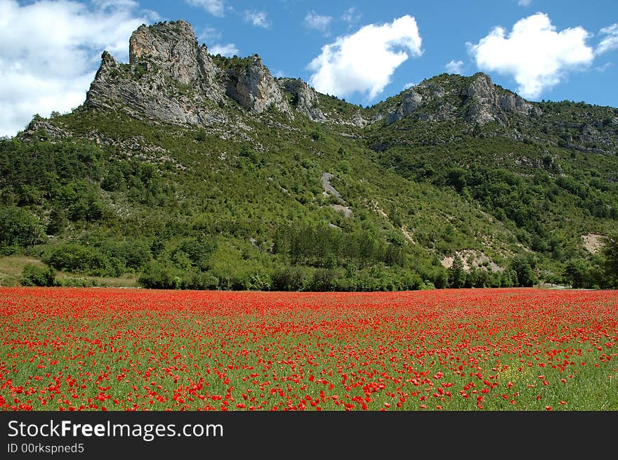 Poppy fiel and Mountain