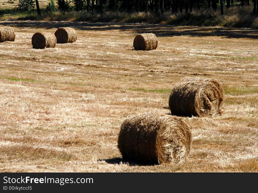 Hay field in summer somewhere in Polish village. Hay field in summer somewhere in Polish village