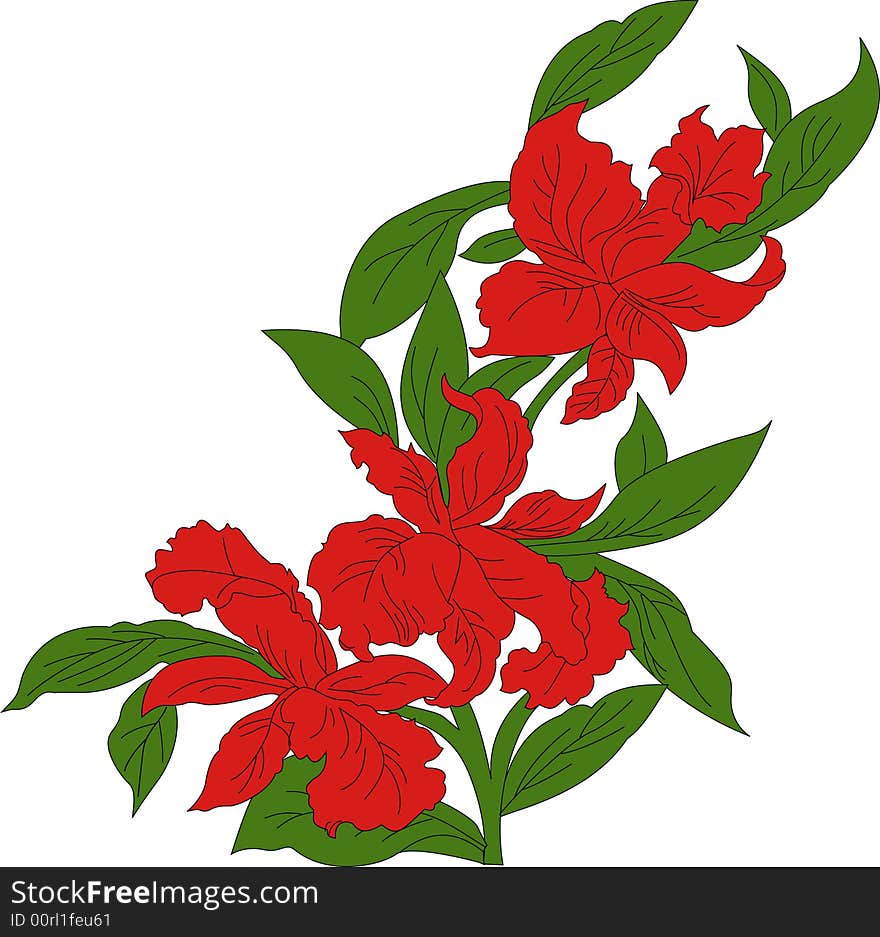 Abstract floral elements. Vector illustration. Abstract floral elements. Vector illustration