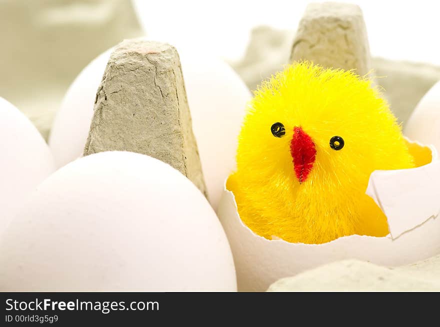 Close up on easter chicken in egg box