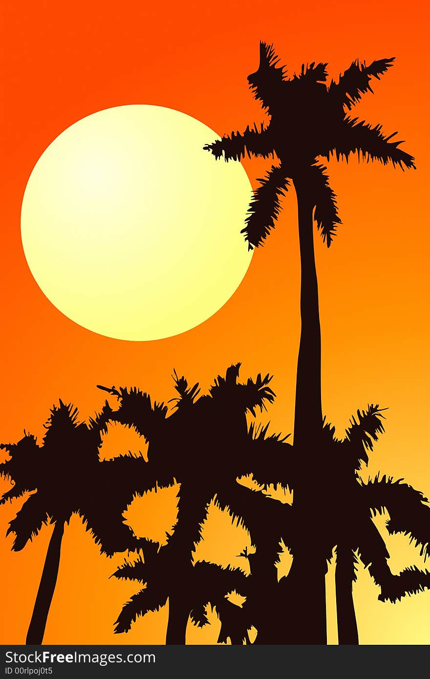 Palm Trees