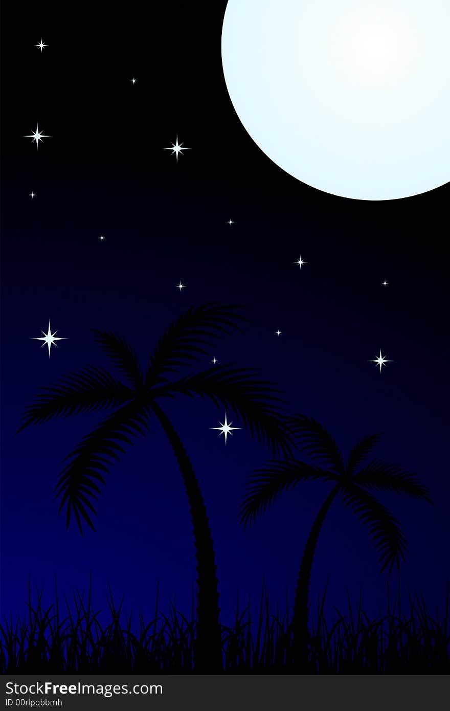 Vector illustration of tropical night