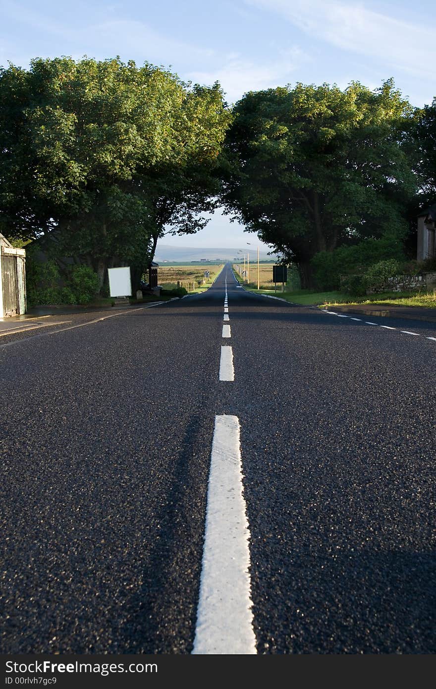 Straight road passes through trees in Orkney. Straight road passes through trees in Orkney