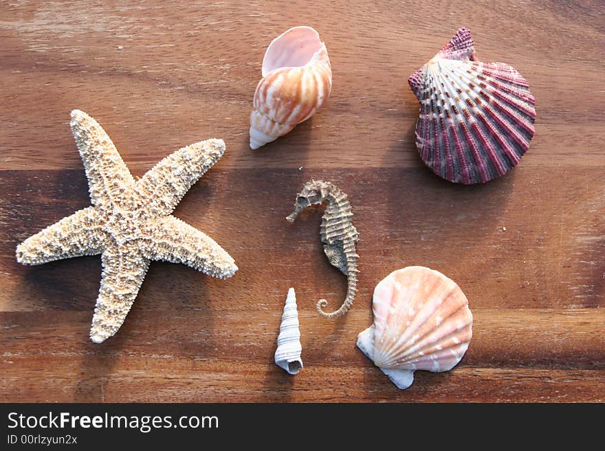 Starfish, conch and mussel on wooden background. Starfish, conch and mussel on wooden background