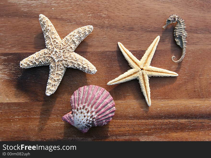 Starfish, conch and mussel on wooden background. Starfish, conch and mussel on wooden background