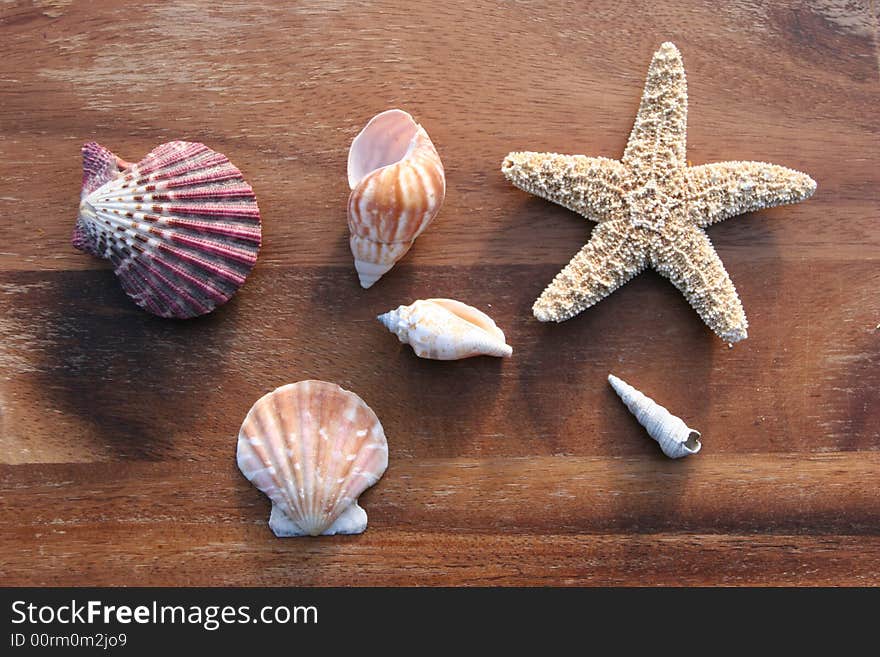 Starfish, conch and mussel on wooden background. Starfish, conch and mussel on wooden background