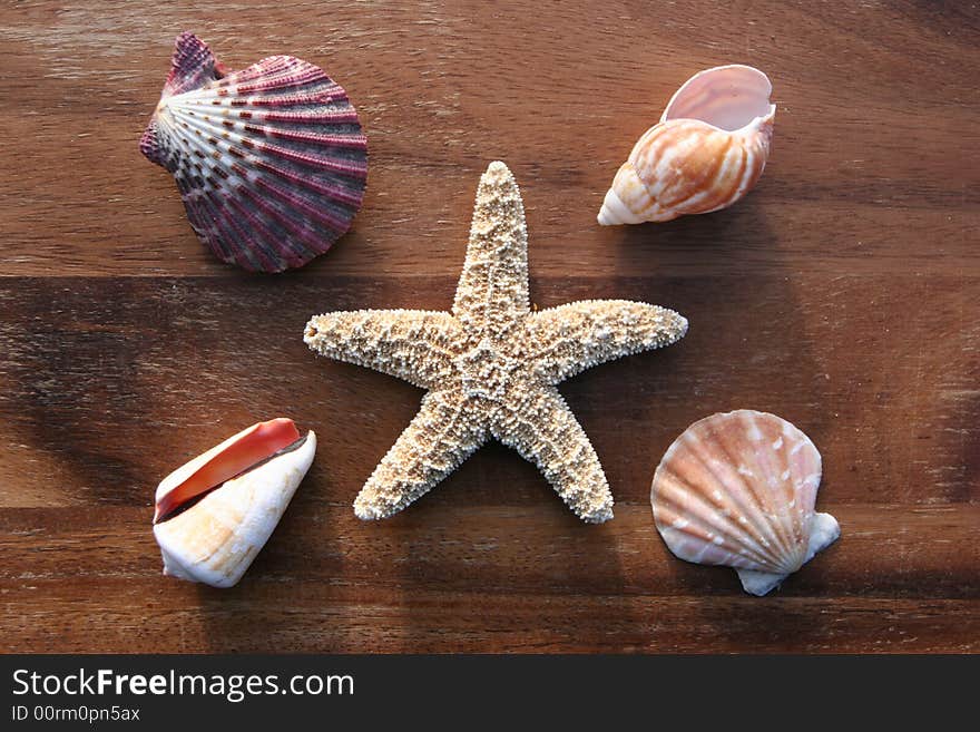 Starfish, conch and mussel on wooden background. Starfish, conch and mussel on wooden background