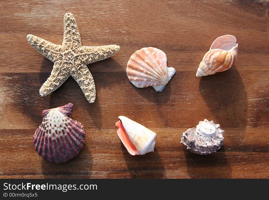 Starfish, conch and mussel on wooden background. Starfish, conch and mussel on wooden background