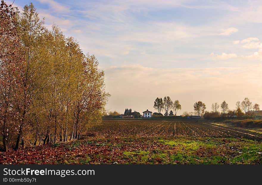 View Of Autumn