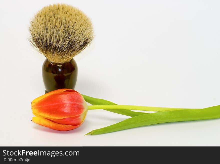 Shaving Brush And Spring Tulip