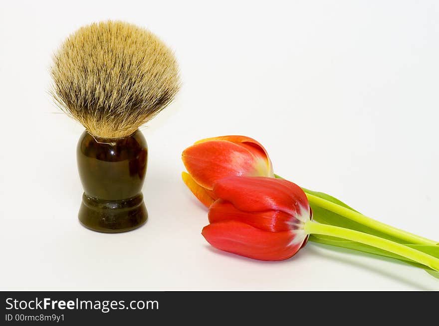 Shaving Brush And Spring Tulip