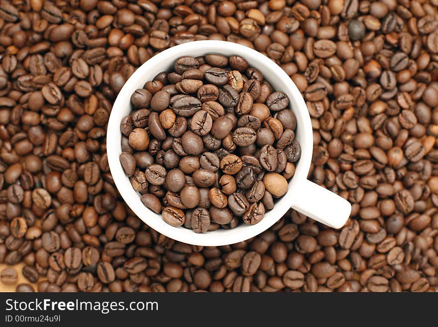 White coffee cup with coffee beans inside viewed from the top