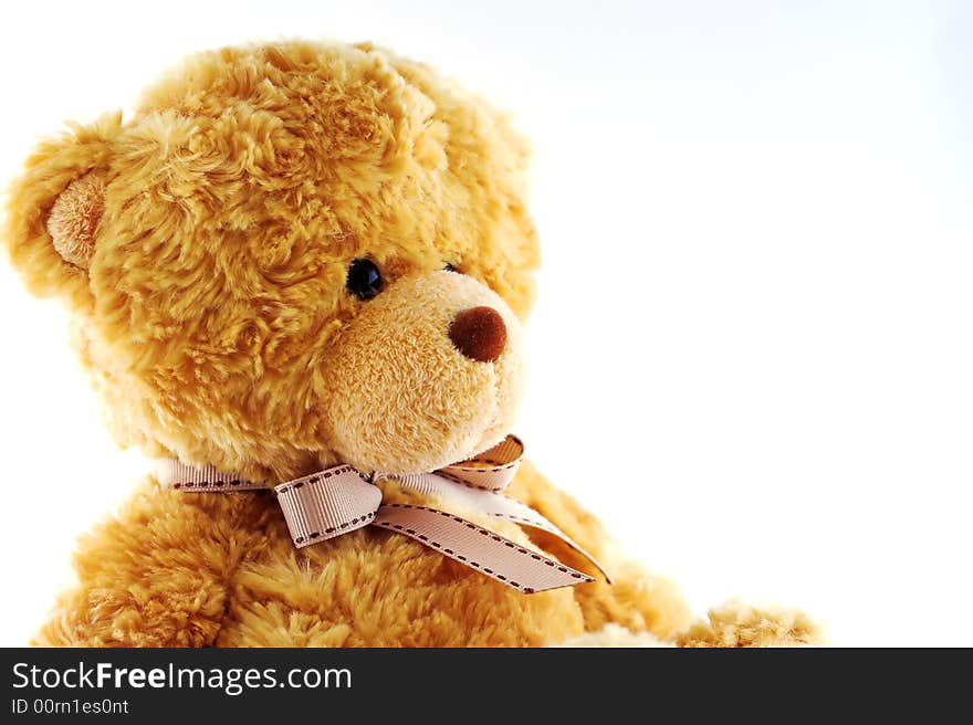 Yellow teddy bear isolated on white. Yellow teddy bear isolated on white