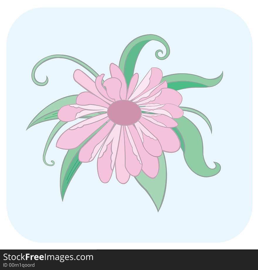 A tender pink flower against a blue background