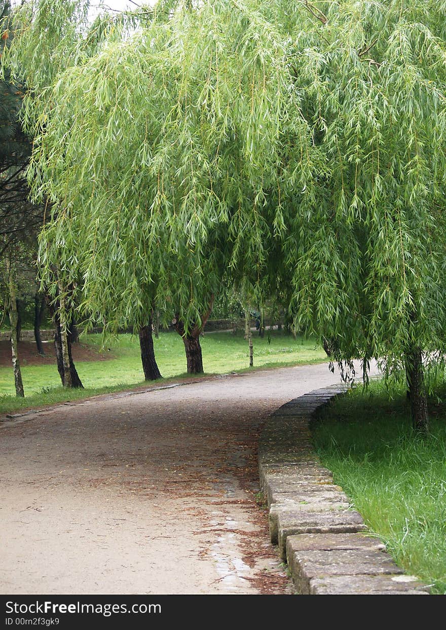 Park of the city of the port in Portugal, very pretty. Park of the city of the port in Portugal, very pretty