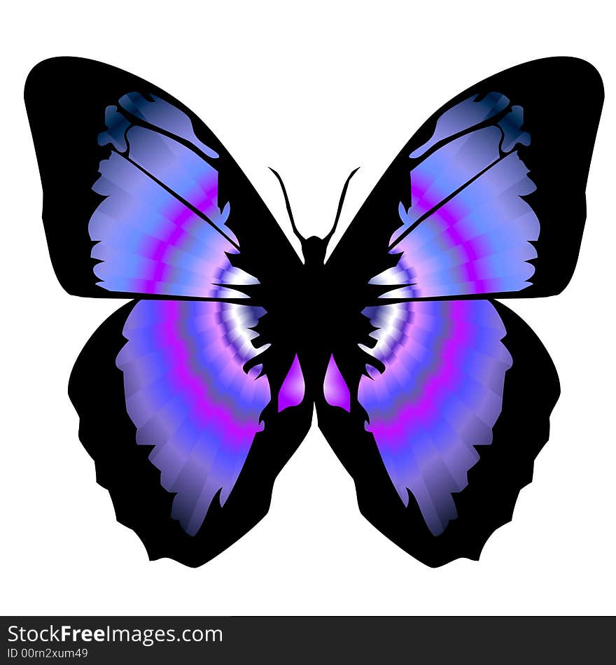 Ornamental butterfly in blue and purple colours. Ornamental butterfly in blue and purple colours.