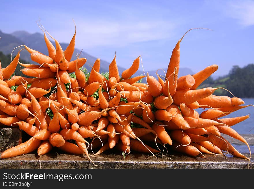 Fresh carrots display on blue sky. Fresh carrots display on blue sky