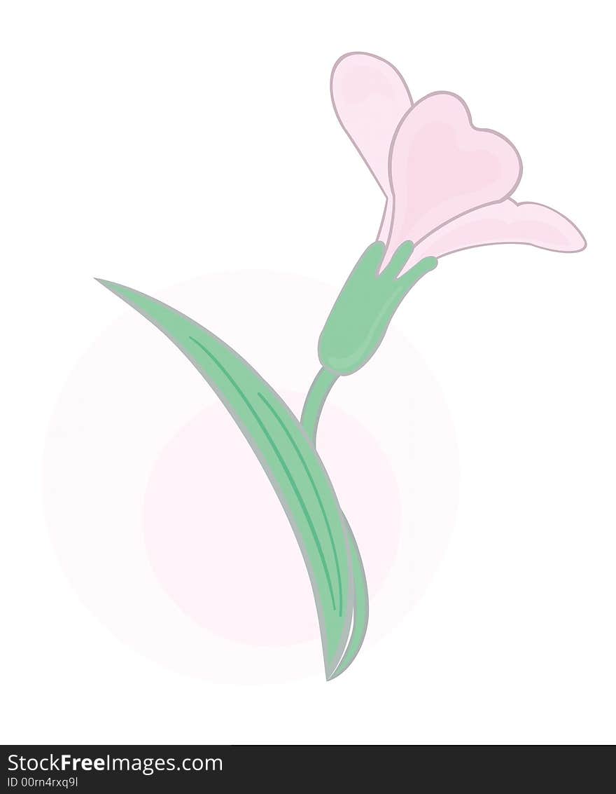 An illustration of a pink flower, nice and tender. An illustration of a pink flower, nice and tender