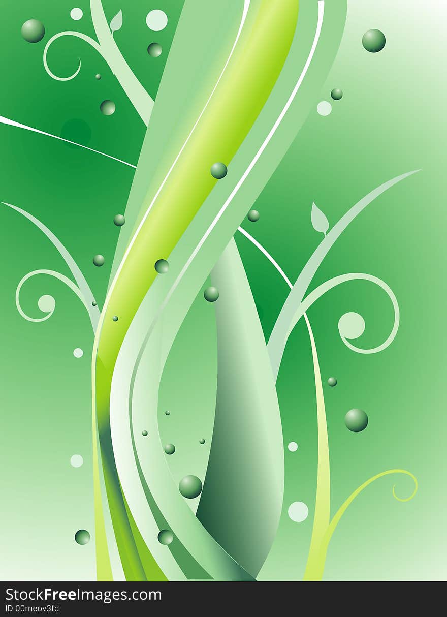 Vector floral and plants illustration. Vector floral and plants illustration