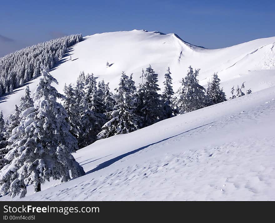 Piatra Mare mountains (Great Rock) are situated near Brasov City. Their altitude is 1843 in the summit from this image. Piatra Mare mountains (Great Rock) are situated near Brasov City. Their altitude is 1843 in the summit from this image