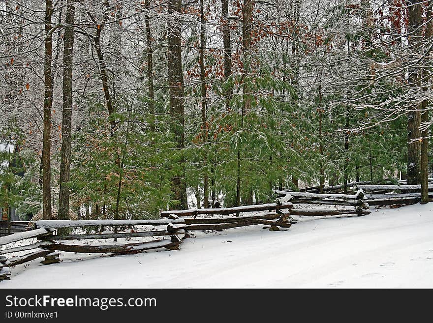 Snow and ice covered trees and fence