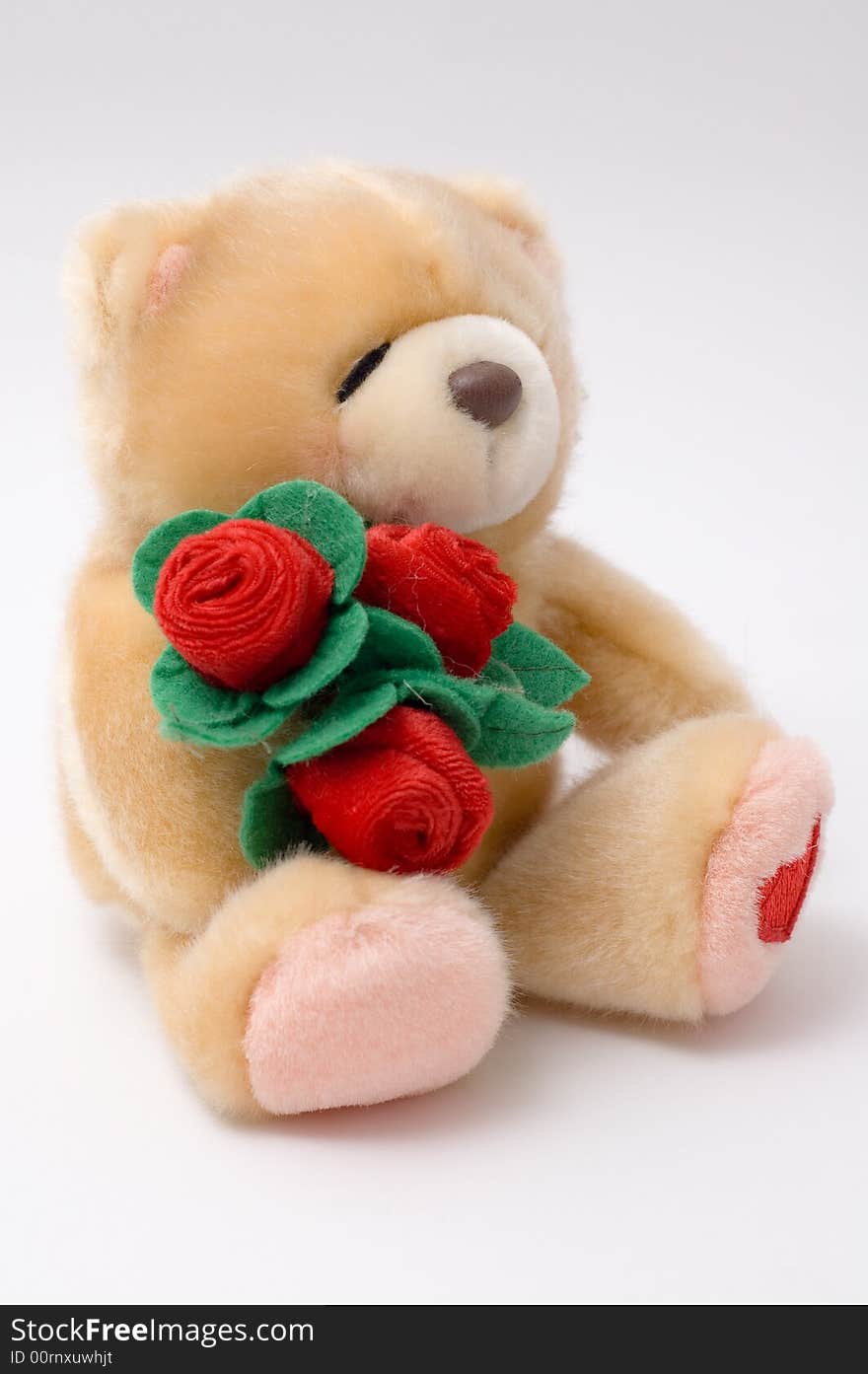 Lovely Teddy Bear