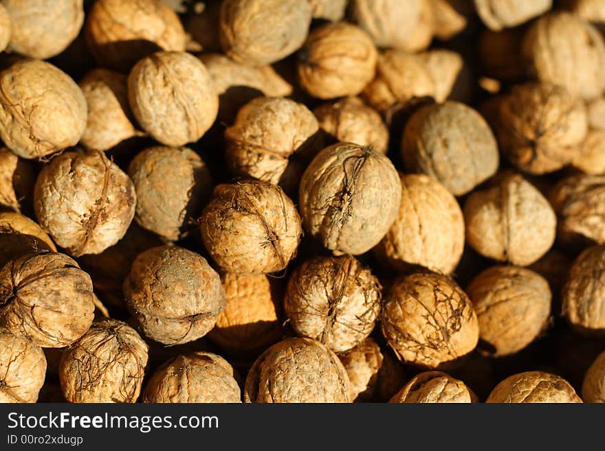 Photo of walnuts in sunshine