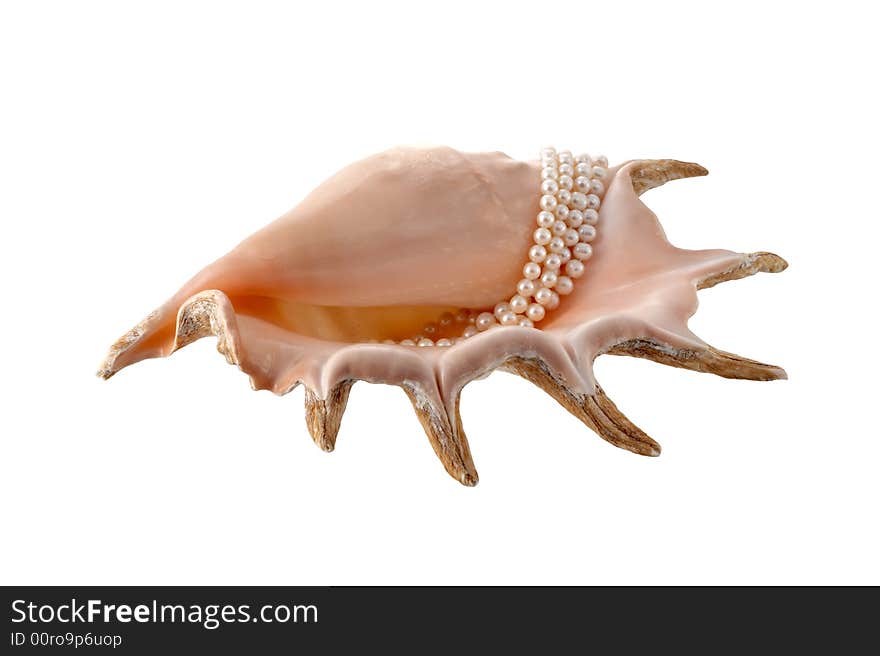 Cockleshell with pearls