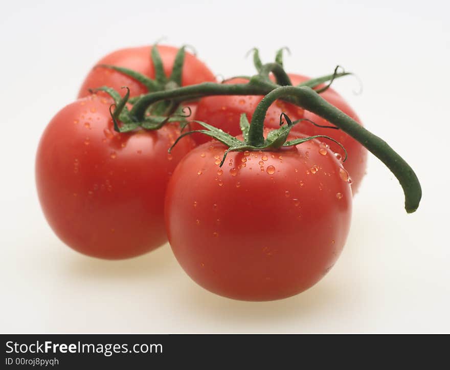 Fresh Ripe Tomatoes