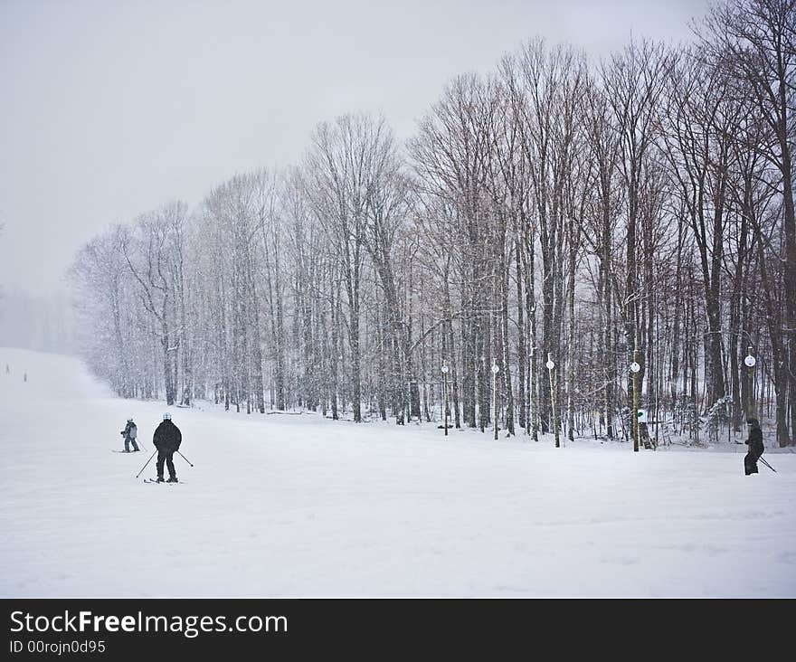 Snow Powder with Young Skiers