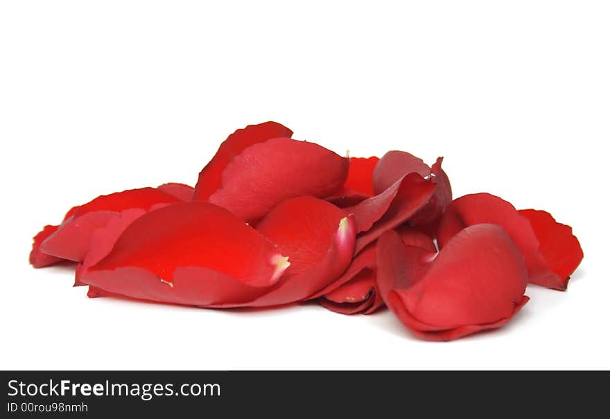 Red rose petals isolated on white