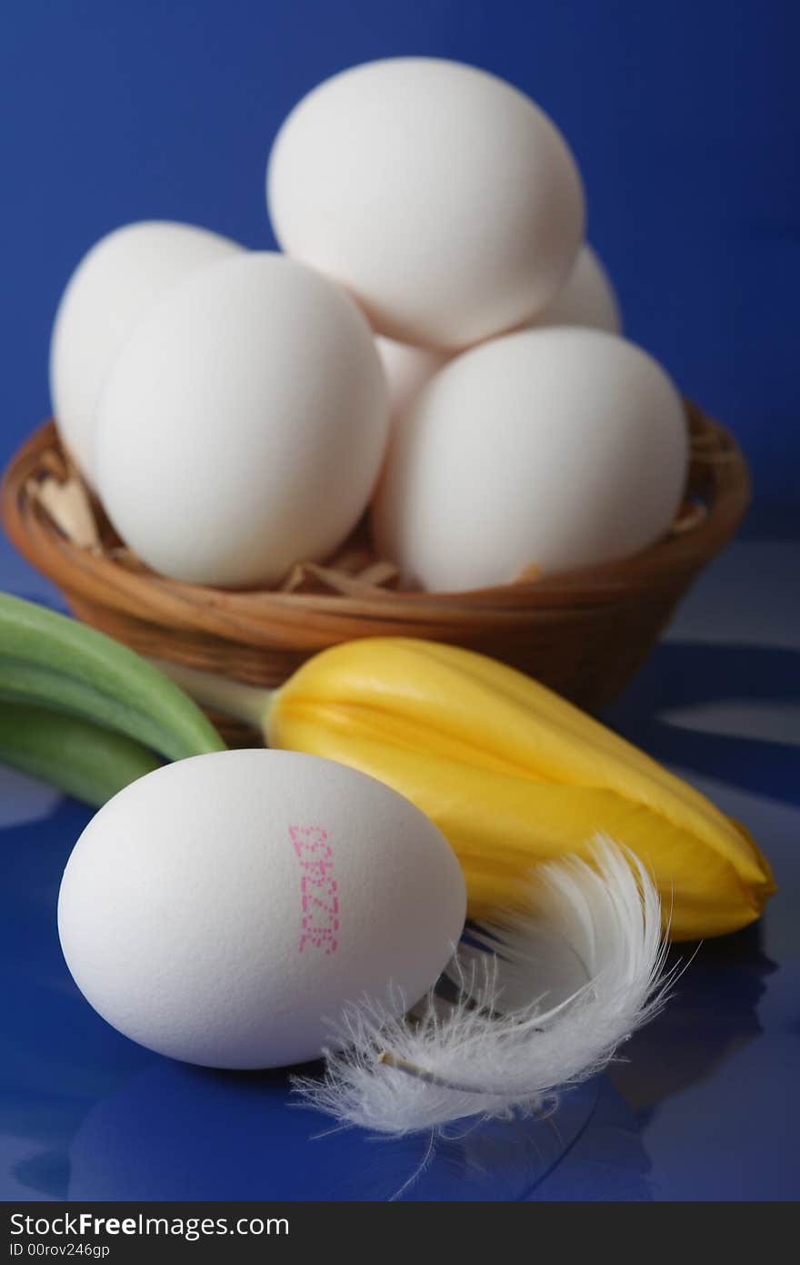 White eggs with yellow tulip on blue background. White eggs with yellow tulip on blue background.