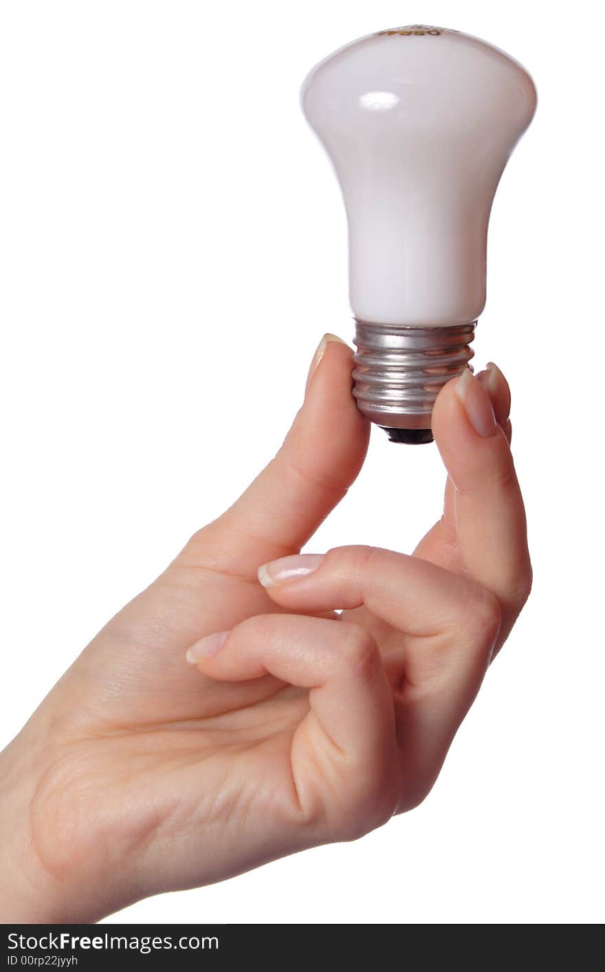 Female hand holding bulb