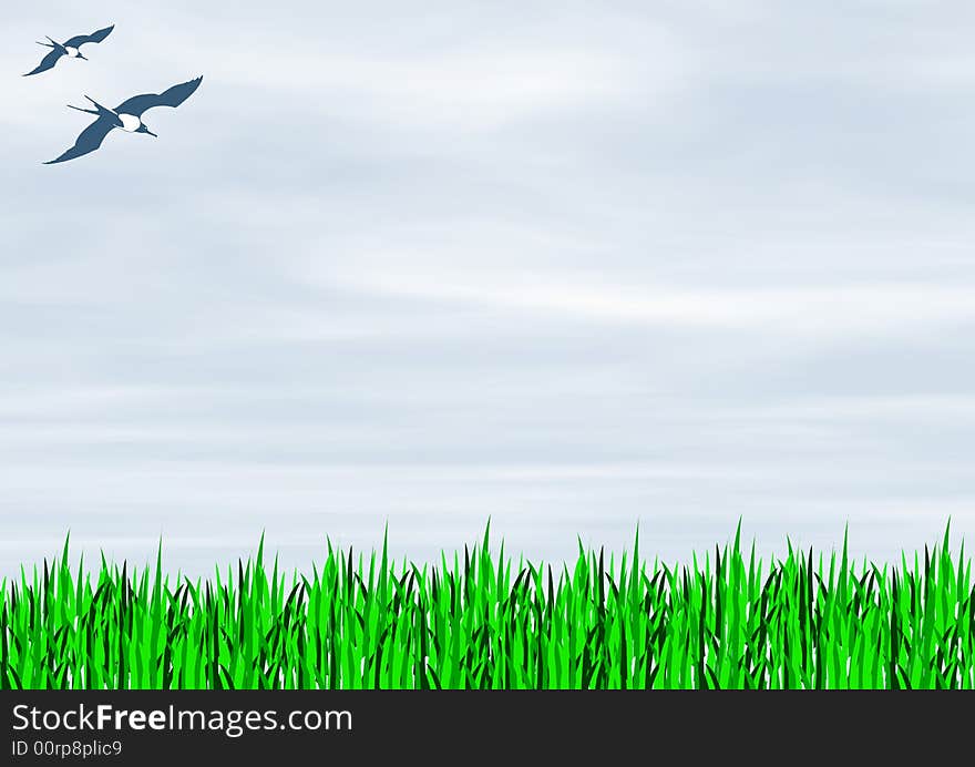 Green Grass with light blue sky and clouds flying two birds. Green Grass with light blue sky and clouds flying two birds