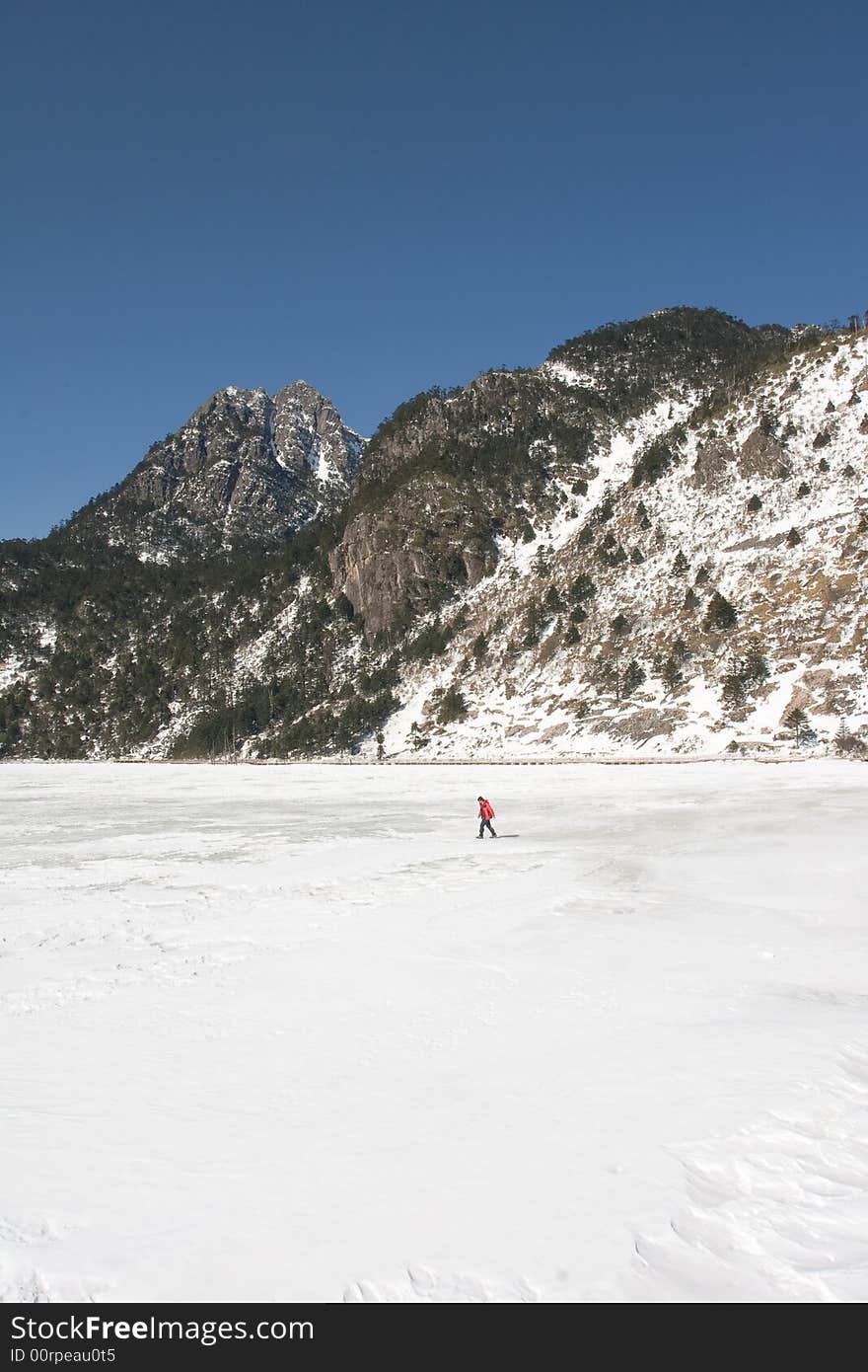 Lake in the winter