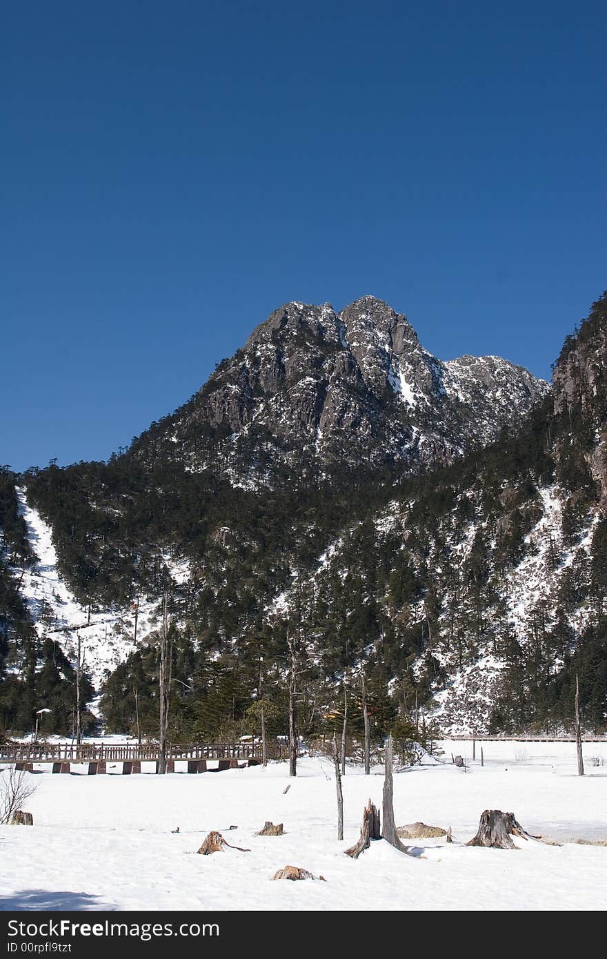 A mountain after snowing,some deadwoods in the snow