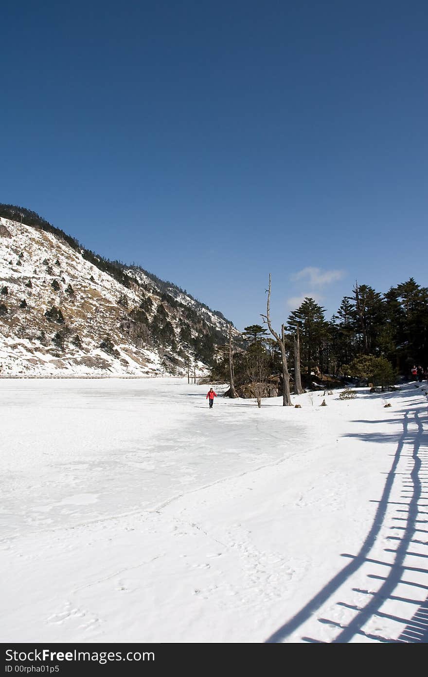 There is a lake in the winter,the water had become ice whick can bear the weight of person